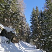 forstweg zur weizgruber alm