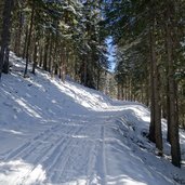 forstweg zur weizgruber alm