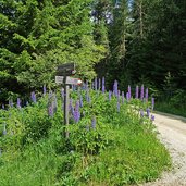 weg von gitschberg nach meransen wegweiser