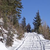 forstweg zur weizgruber alm