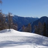 forstweg unterhalb weizgruber alm letzte kehre