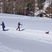 melager alm winter langlaufloipen mit hund