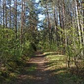 schabs doerferrunde richtung raas wald