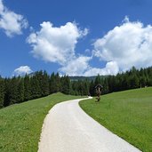 feldweg bei muehlbach wiese wald kreuz