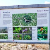 infotafel raier moos bei raas natz schabs