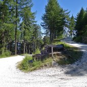 abfahrt goeflaner alm forststrasse