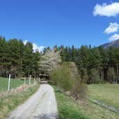 doerferrunde von natz nach viums landschaft