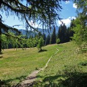 wiesen unterhalb brunstridl weg a