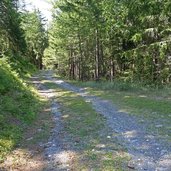 forstweg oberhalb von patsch inner noerdersberg