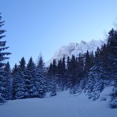 winterweg rodelbahn forstweg zirogalm