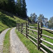 forstweg oberhalb von patsch inner noerdersberg