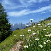 am wanderweg hirzeralmen