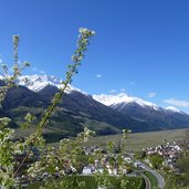 fruehling bei schlanders kortsch