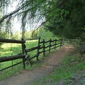 wanderweg freiberg richtung marzoner alm