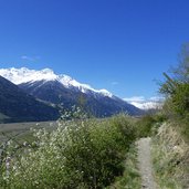 weg zum zaalwaal fruehling