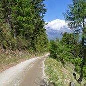 forstweg freiberg zur marzoner alm