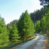 forstweg zur marzoner alm