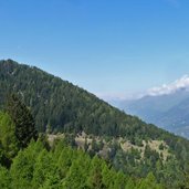 forstweg zur marzoner alm