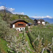 weg nr richtung sirmian bauernhoefe