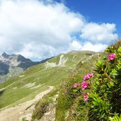 penser joch weg zum sarner weisshorn