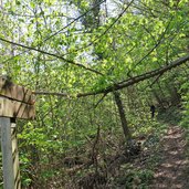 weg a nals andrian durch den wald