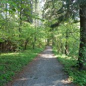 andreas hofer rundweg wald