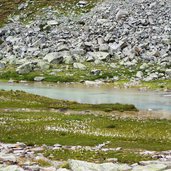 weg nr zayseen