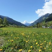 wiesen am weg richtung st martin passeier