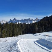 obereggen wanderweg winter blick auf rosengarten