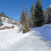 winter wanderwege bei obereggen bewaller