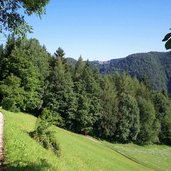 truden mountainbike und wanderweg alte bahntrasse bei kaltenbrunn