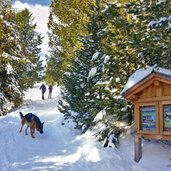 weg zur raschoetz huette winter rodeln rasciesa