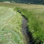 waal auf malser heide