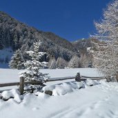 avignatal winter neuschnee auf baeumen