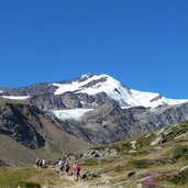 wanderer und zufallspitze cevedale