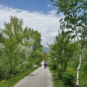 uferweg eisack brixen nord