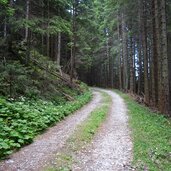 brenner forstweg flatschjoch