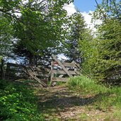 wanderweg brenner nach zirogalm enzianhuette