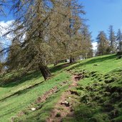 weg nr nach moeltner kaser und joch