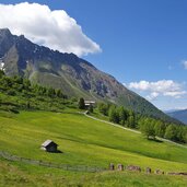 wiesen bei zirogalm und leitneralm brenner fr