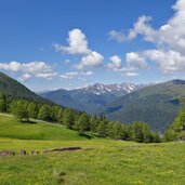 wiesen bei zirogalm und leitneralm brenner fr