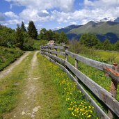 forstweg bei leitneralm