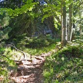 aufstieg steig nr nahe gampenpass