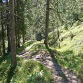 steig nr oberhalb gampenpass