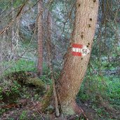 wechsel abzweigung weg richtung felixer alm und tillbergalm