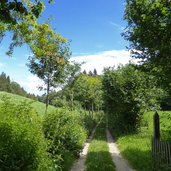 wiesen am fennberg bei lindenhof