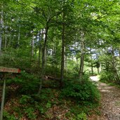 weg am fennberg nahe lindenhof