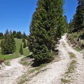 weg nr von tillwiesen zu schoenegg