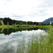 fennberger see fenner see