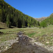 silvestertal silvesteralm herbst wald